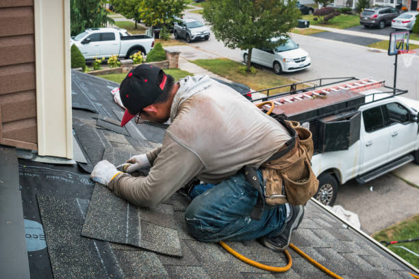 Professional Gutter Repair And Installation technician working in Forest Junction, WI